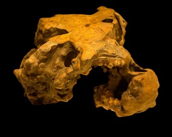 Natural Golden Silk Eucommia Wood Stand / 3.1 lb – Elegant Display for Bonsai, Tea Sets, and Art Pieces