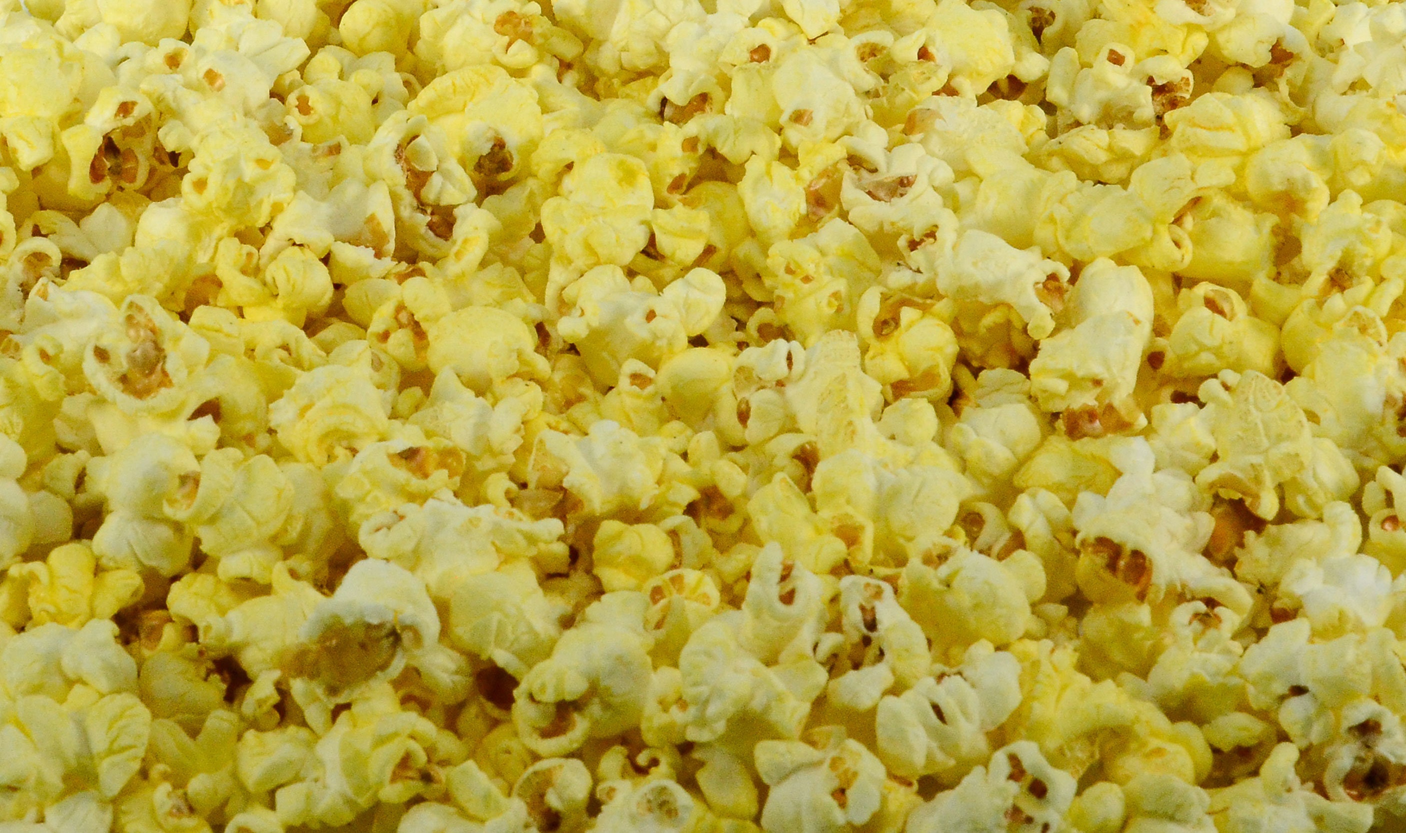 Popcorn Bulk & Popcorn Bags Popped Popcorn Party Favor Pop Etsy