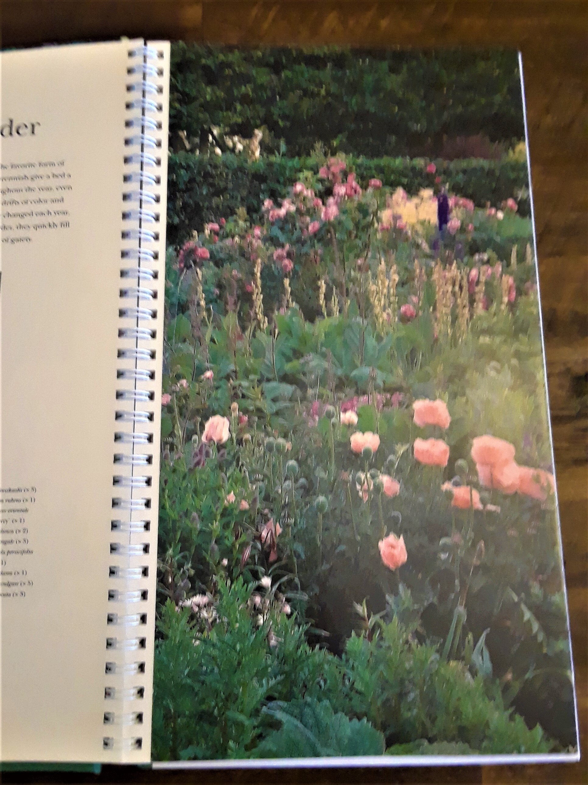 Beds and Borders Landscaping Project Book Etsy New Zealand