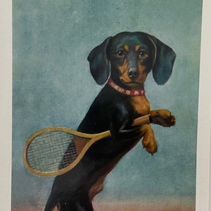 Carte Teckel et raquette de tennis, Carte Tennis, Carte Chien, Carte drôle, Carte Sportif, Carte Professeur, Carte Vintage, Carte Merci