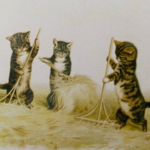 Carte Chats faisant les foins, Carte de fête Chatons, Carte Ferme, Agricole, Campagne, carte anniversaire, image vintage, rétro, rural