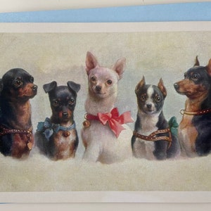 Carte Chihuahua vintage, Carte Chien, Carte Fête, Anniversaire, Carte de souhaits, Invitation fête, Carte professeur, Merci, Party