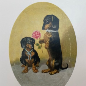 Collants Teckels amoureux, Collants Chien saucisse, Image Vintage, Autocollants Retro, Teckel humanisé, Collants Agenda, Bouquet de roses