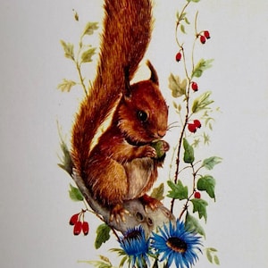 Carte vintage Écureuil parmi les fleurs, souhaits, Professeur, joyeux anniversaire, bonne fête, merci, nature, voeux, note