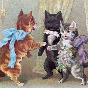 Carte vintage chats et fleurs, Chat bouquet, souhaits, professeur, anniversaire , mariage, enfant, Soeur, Maman, Fillette, couple, chaton