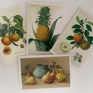 CHOOSE ONE Vintage Fruit Card, Apple Still Life, Pears, Pineapple, Apricots,Thank You, Greeting, Teacher, Professor, Botanical, Notecard