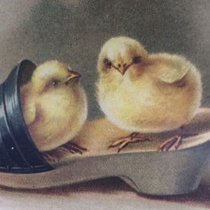 Easter Vintage Card, Easter Chicks Card, Chicks in Shoe Card image 1