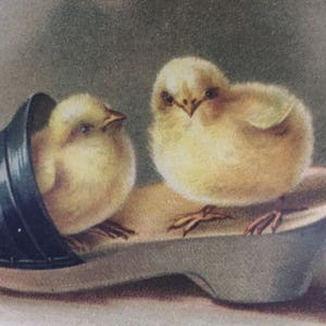 Carte de Pâques, Carte Pâques Poussins, Carte Poussins Sabot