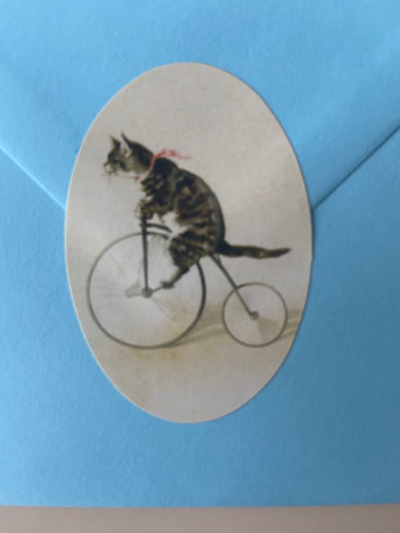 Cat tricycle online