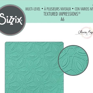Sizzix 3D Texture Fades Embossing Folder - Ornamental Pattern By Olivia Rose 665749