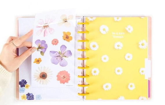 Clear - Happy Planner Snap-In Classic Page Protectors - Me & My Big Ideas