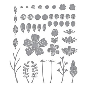 Spellbinders Etched Dies - Be Bold Blooms S5-502
