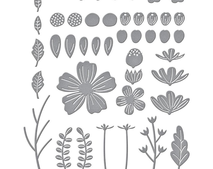 Spellbinders Etched Dies - Be Bold Blooms S5-502 - Etsy