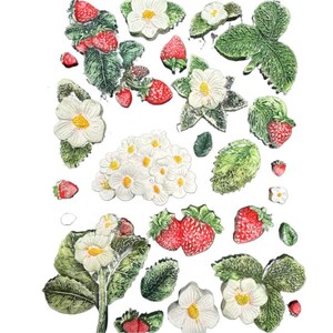 May include: A collection of decorative strawberry and flower embellishments. The strawberries are red with green leaves, and the flowers are white with yellow centers. The leaves are green. The items are arranged on a white background.