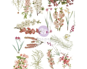 Trasferimenti Rub-On Bloom Sharon Viv 8,5"X11" 4/Pkg - Prima