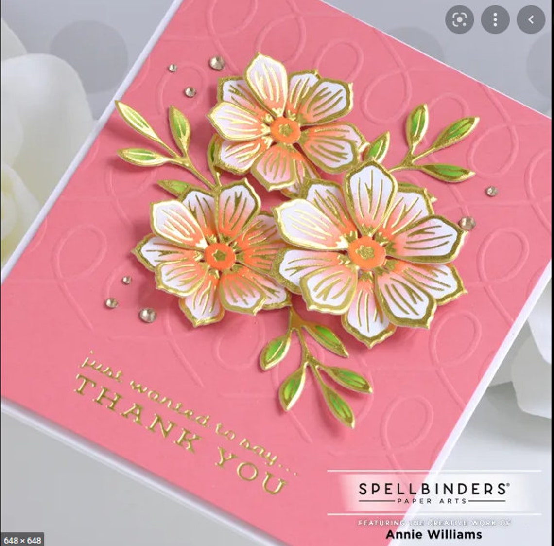 Spellbinders Embossing Folder Loops 5.5x8.5 SES029 Etsy