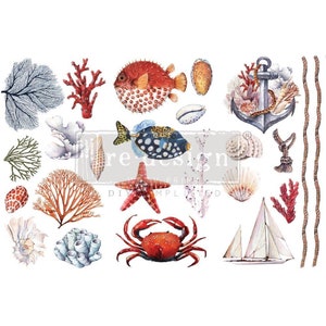 Re-Design Decor Colored Transfer - Amazing Sea Life 6X12&quot; 3 Sheets - Prima