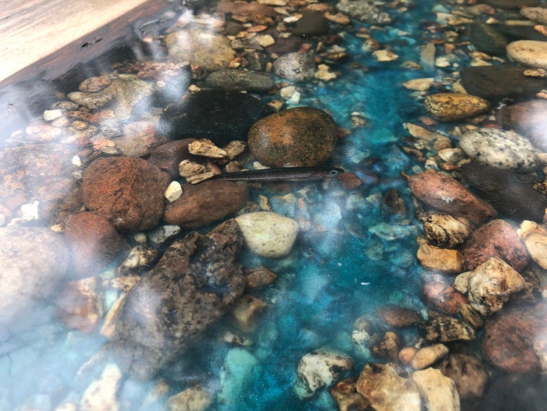 Live Edge River Table Resin Trout Coffee Etsy
