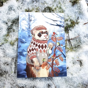 3 Winter Frettchen Postkarten
