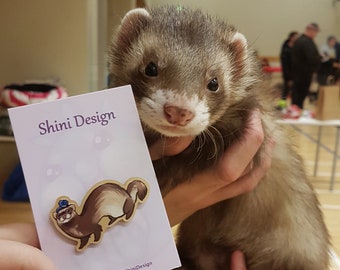 ferret accessories