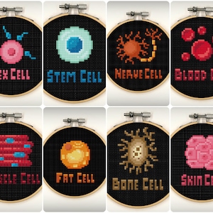 Mini Cells Cross Stitch Pattern Set - Printable Pattern - Science Cross Stitch - Biology cross stitch - Microbe Cross Stitch - PixlStitch