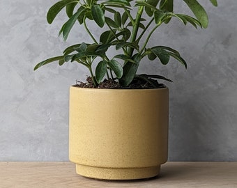 4" Concrete Planter with Drain hole