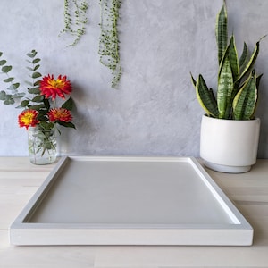 May include: A rectangular, light gray serving tray with a white border. The tray is on a light wood surface, with a vase of red and yellow flowers and a potted snake plant in the background.