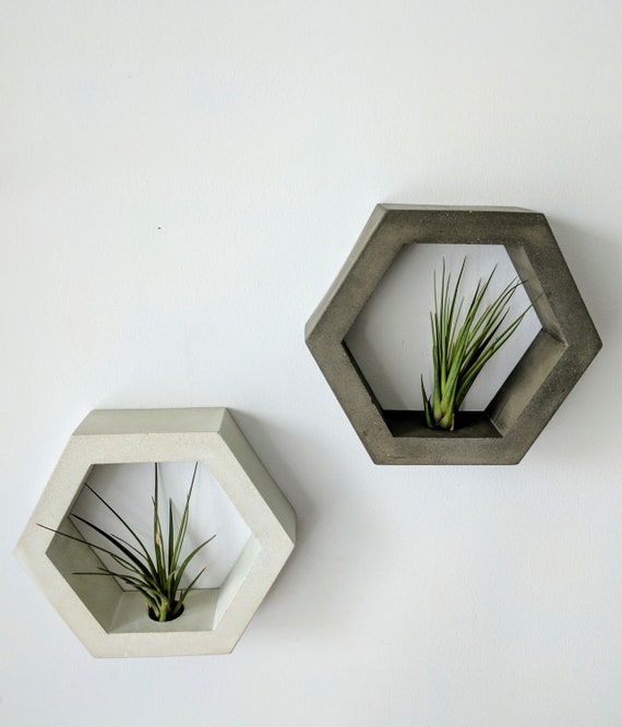 Indoor Wall Planter For Air Plants Handmade Concrete Hexagon Hanging Modern Gift Vertical Plant Pot