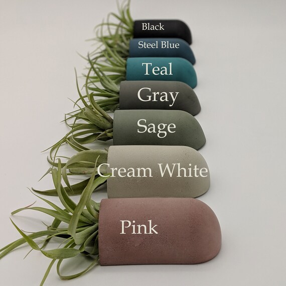 Air Plant Holder Concrete Wall Mounted Planter Wedding Party Gifts Office Decor Bedroom Modern Cement - Wall Mounted Plant Holders Uk Air Plant Holder Concrete Wall Mounted Planter Wedding Party Gifts Office Decor Bedroom Modern Cement - Wall Mounted Plant Holders Uk