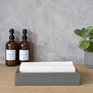 May include: A gray concrete countertop tissue box holder with a stack of white paper towels inside. Two amber glass bottles with black pump tops are on the counter, one labeled "Dish Soap" and the other "Hand Soap".