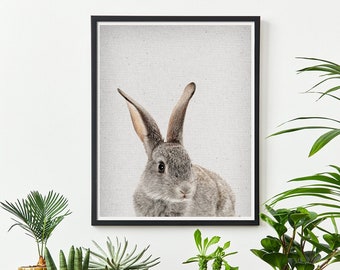 RABBIT Print, Rabbit Nursery Wall Art, Hare Rabbit Printable, Hare Woodland Animal Art Print, Nursery Decor Animal Prints, Printable animal