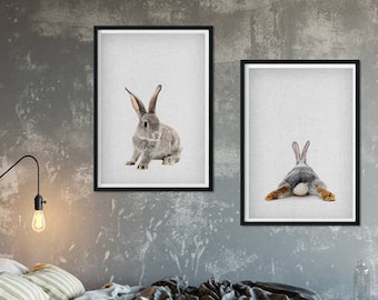 Set of 2- Rabbit Print, Peekaboo Rabbit, Rabbit Wall Art, Rabbit Baby Animal, Rabbit Download, Rabbit Nursery Decor, Rabbit scandinavian