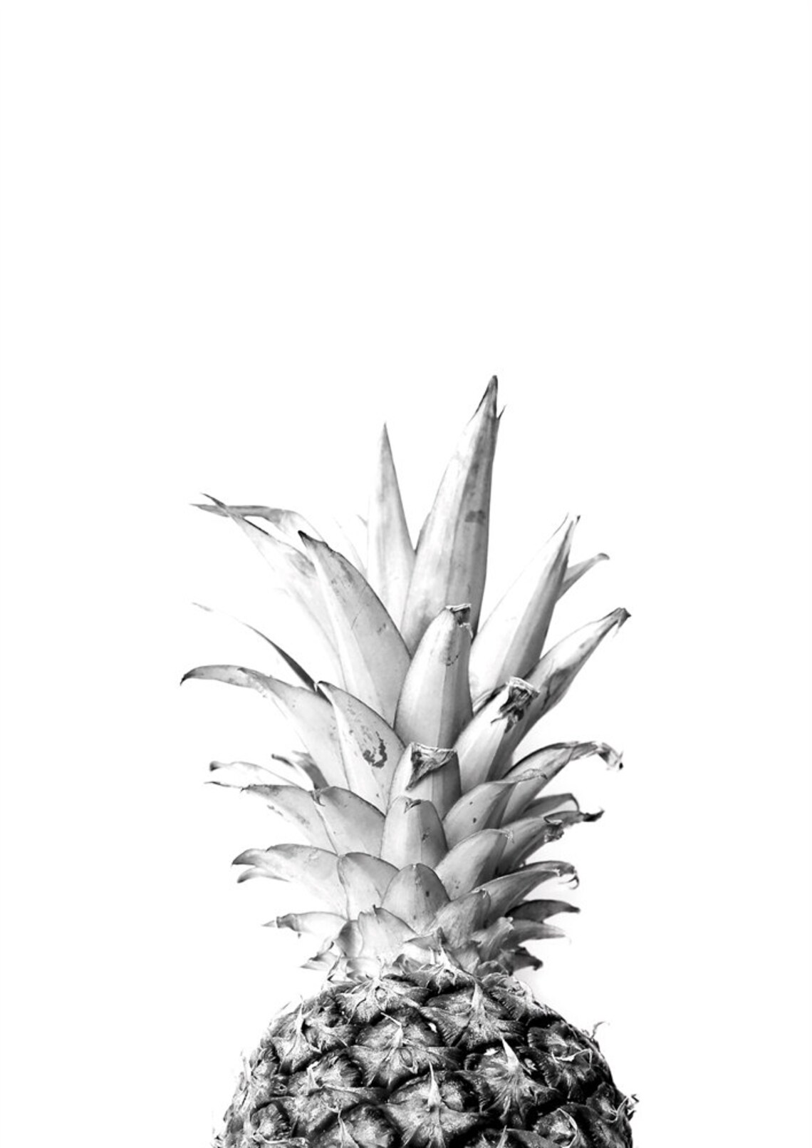 Pineapple Print Pineapple Poster Modern Art Print Pineapple Etsy