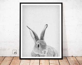 Rabbit Poster, Peekaboo Rabbit, Rabbit Wall Art, Rabbit Print, Bunny Poster, Rabbit Download, Rabbit Nursery Decor, Rabbit printable Bunny