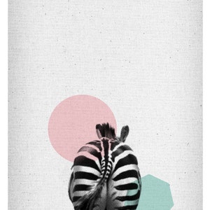 May include: A black and white zebra with a pink circle and a teal hexagon behind it. The zebra is facing away from the camera and its tail is visible.