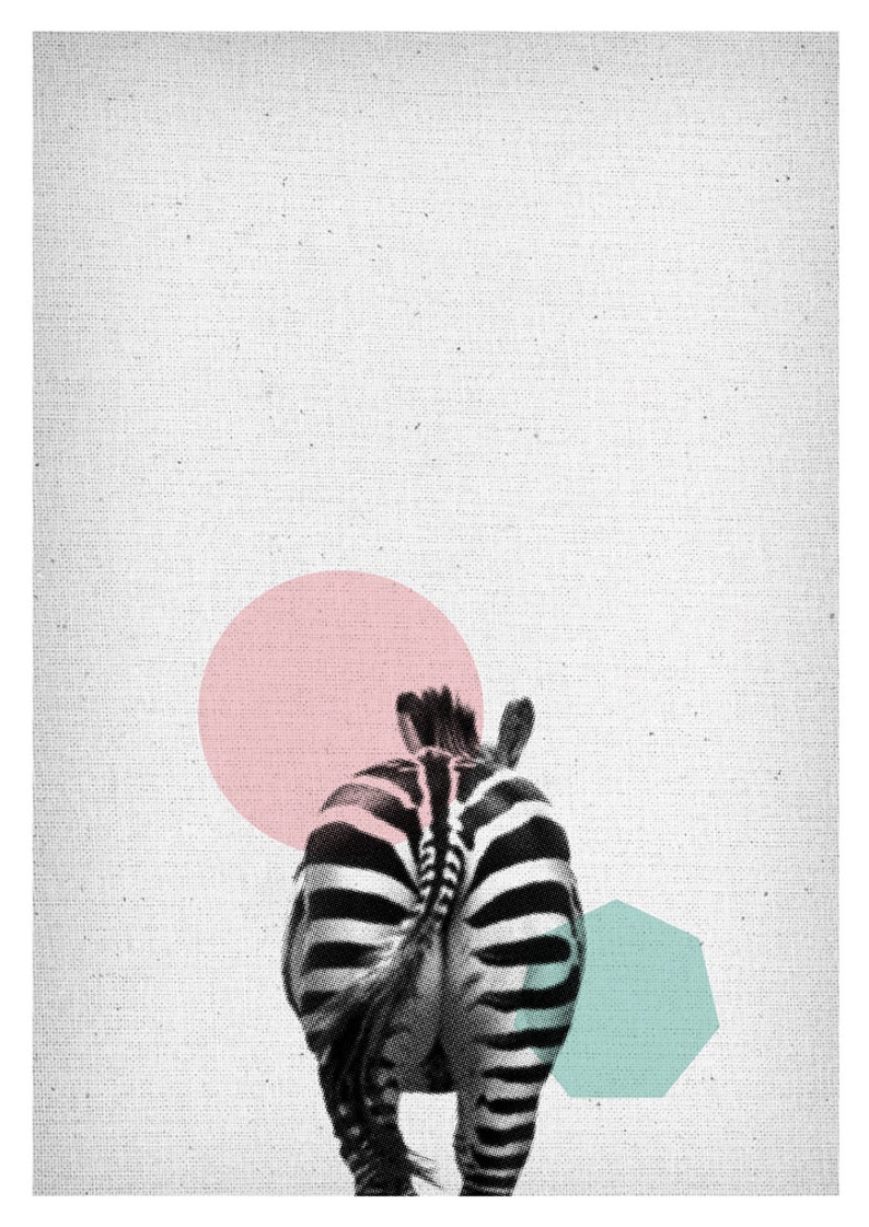 May include: A black and white zebra with a pink circle and a teal hexagon behind it. The zebra is facing away from the camera and its tail is visible.