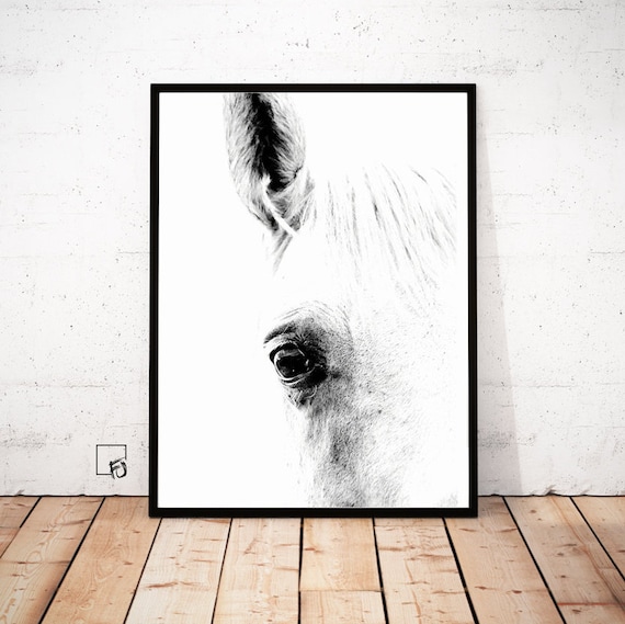 Horse Print Horse Photography Horse Printable Art Horse | Etsy