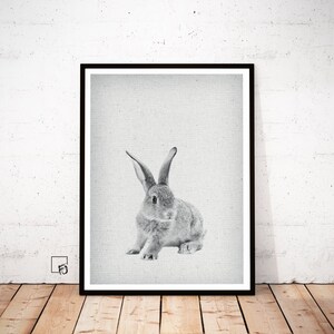 RABBIT Print, Rabbit Nursery Wall Art, Hare Rabbit Printable, Hare Woodland Animal Art Print, Nursery Decor Animal Prints, Printable animal