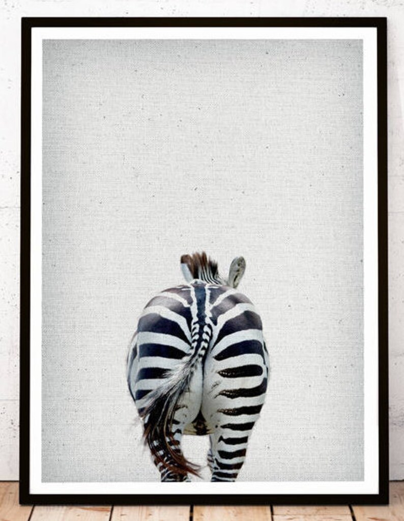 May include: A black and white zebra with its tail sticking up in the air, walking away from the camera. The zebra is in focus, while the background is a blurry white.