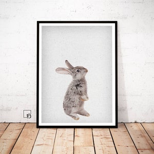 Rabbit Print, Rabbit Wall Decor, Rabbit Poster, Printable Bunny, Rabbit Download, Rabbit scandinavian Wall Art, Rabbit hygge, Bunny Wall Art