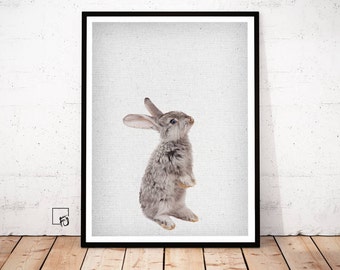 Hase Poster, Hase Poster, Hase Poster, Hase Poster,