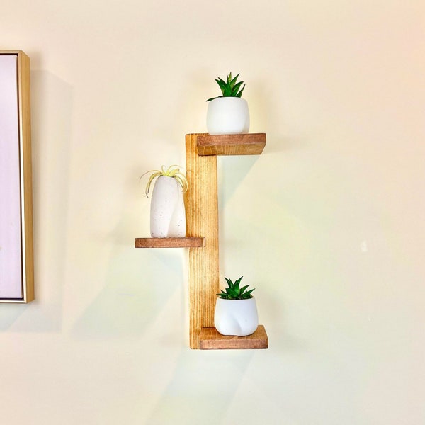 Hanging Plant Shelf Etsy