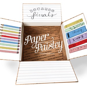 Care Package Sticker Kit - Because Finals/finals survival kit/college/school/decorated box flaps/test/shipping label/gift/ldr/campus/classes