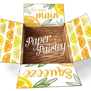 Pflegepaket Sticker Kit - Main Squeeze/Einsatz/Militär/Militär/Militär/College/Geschenk/verzierte Boxklappen/Geschenkpapier/Zitrone/orange