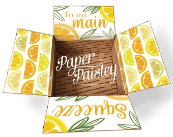 Citrus Care Package Sticker Kit – Main Squeeze - Decorated Box Flaps