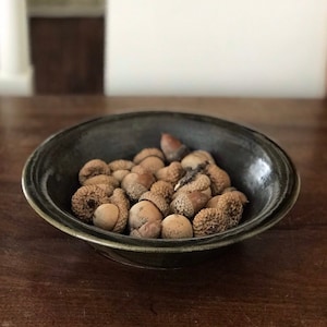 May include: A dark green ceramic bowl filled with a collection of brown acorns.