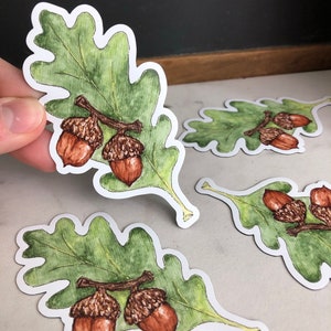 Vinyl Watercolor Oak Leaf Acorn Sticker Vinyl Watercolor - Etsy