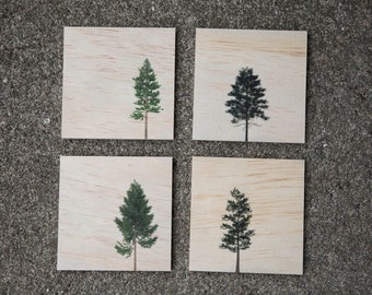 Conifers Wood Coaster Set