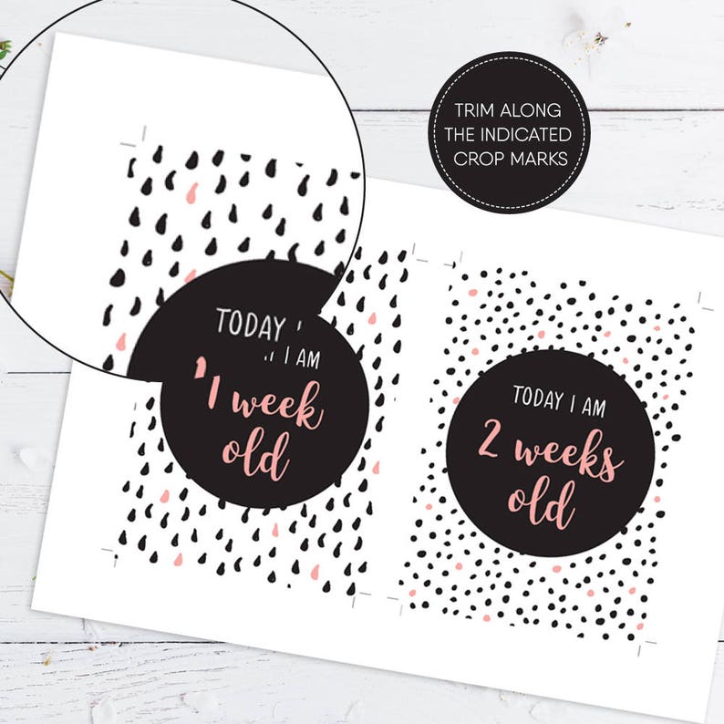 Printable Baby Milestone Cards/ Baby Milestone/ Baby/ PDF/ Etsy