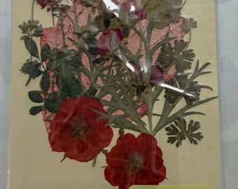 Red Series - Pressed Flower Raw Material 01401